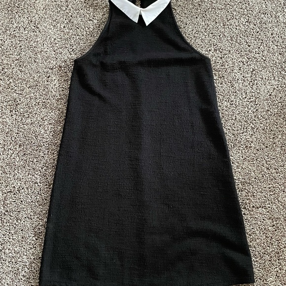 Zara Trafaluc White Collared Black Dress Size US M - Picture 2 of 3